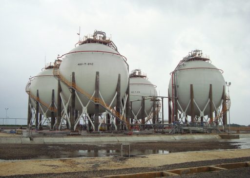 WhatsApp-Image-2025-08-06-at-08.59.06_32dce872 WhatsApp-Image-2025-08-06-at-08.59.06_32dce872